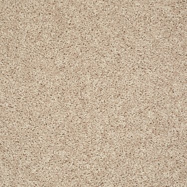 SHAW FLOORS VALUE: GO BIG - Image 9