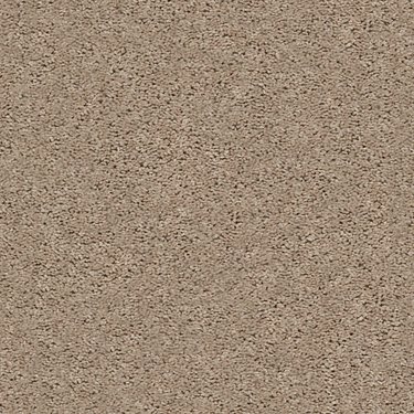 SHAW FLOORS VALUE: GO BIG - Image 5