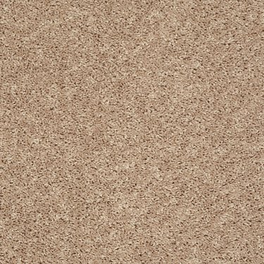 SHAW FLOORS VALUE: GO BIG - Image 10