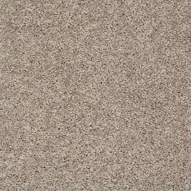 SHAW FLOORS VALUE: GO BIG - Image 6